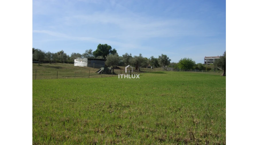 Quinta T1 para Venda em Assunção, Ajuda, Salvador e Santo Ildefonso Foto 10