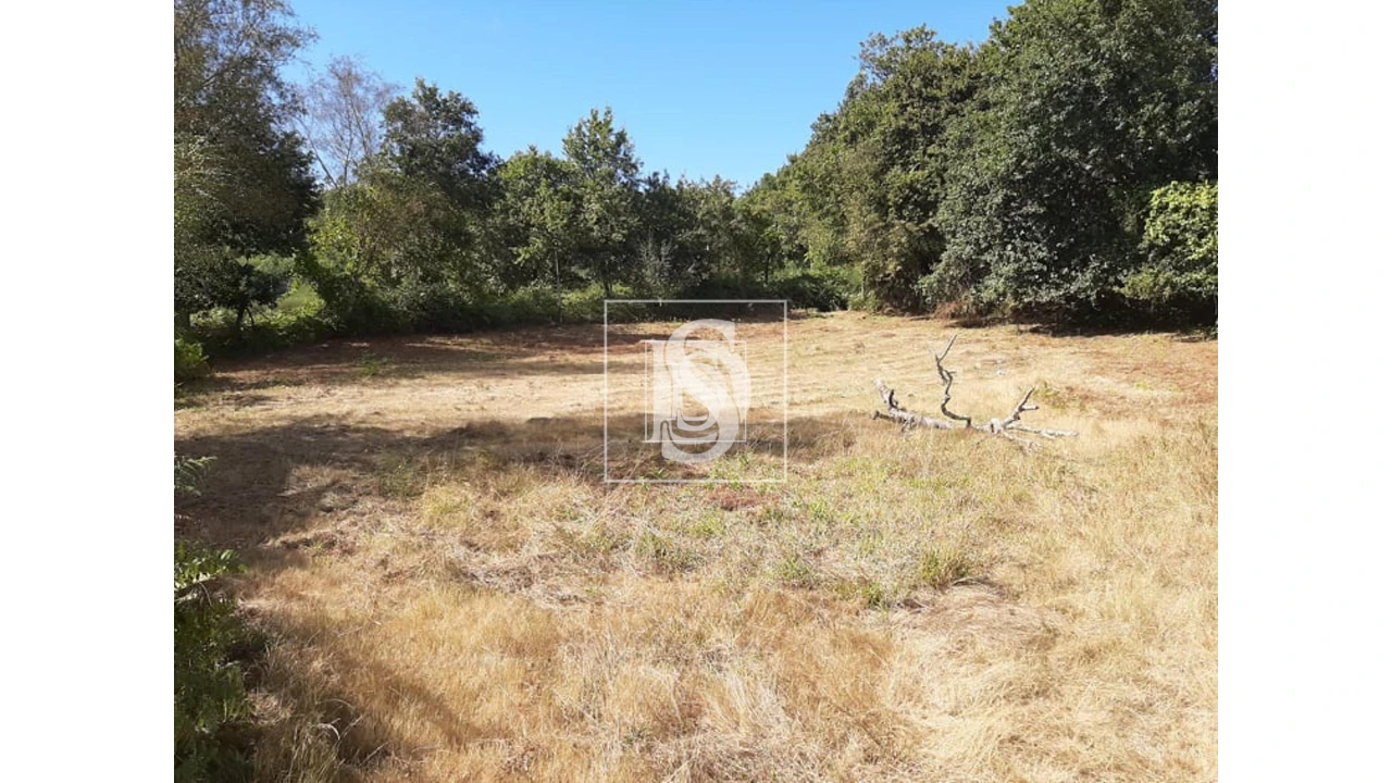 Terreno para Venda em Anissó e Soutelo Foto 6