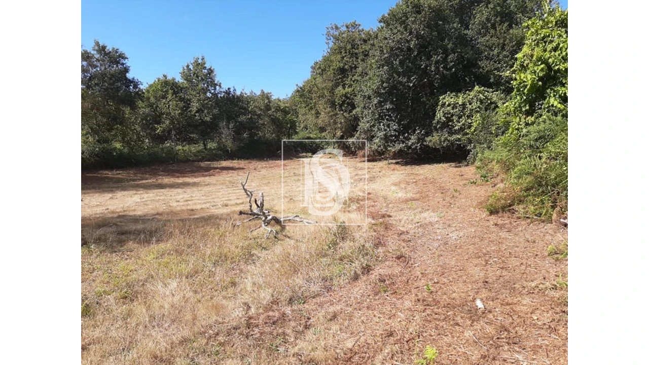 Terreno para Venda em Anissó e Soutelo Foto 5