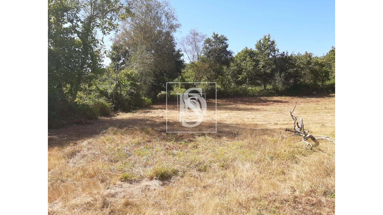 Terreno para Venda em Anissó e Soutelo Foto 9