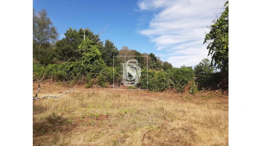 Terreno para Venda em Anissó e Soutelo Foto 8
