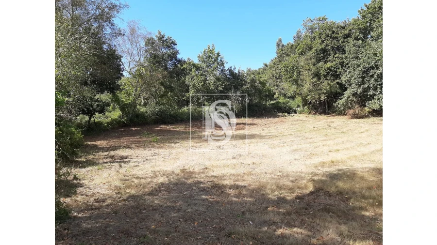 Terreno para Venda em Anissó e Soutelo Foto 7