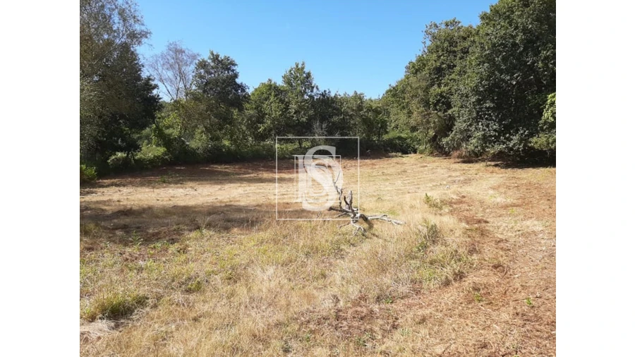 Terreno para Venda em Anissó e Soutelo