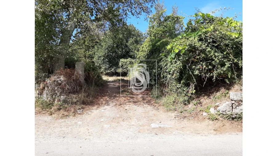 Terreno para Venda em Anissó e Soutelo Foto 4