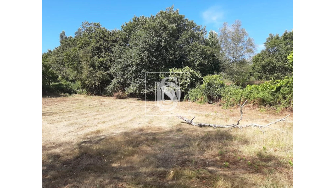 Terreno para Venda em Anissó e Soutelo Foto 3