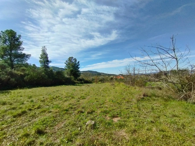 Terreno para Venda em Ferro Foto 5