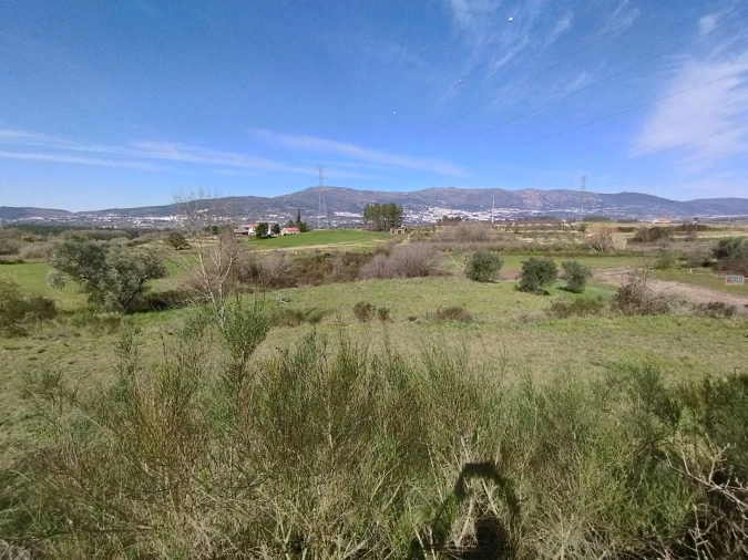Terreno para Venda em Ferro Foto 6