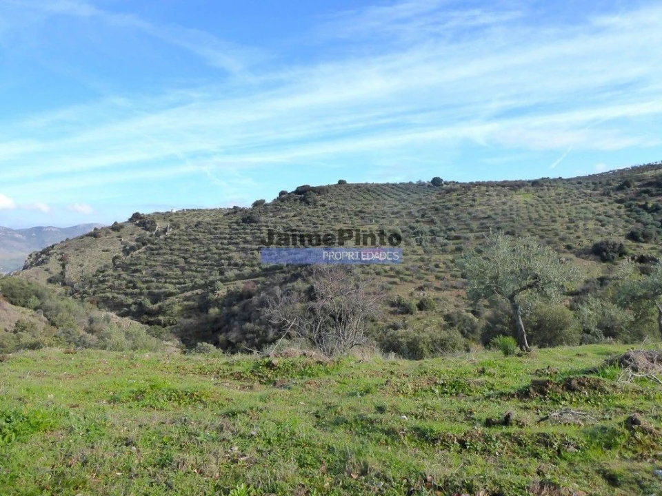 Terreno Misto para Venda em Escalhão Foto 4