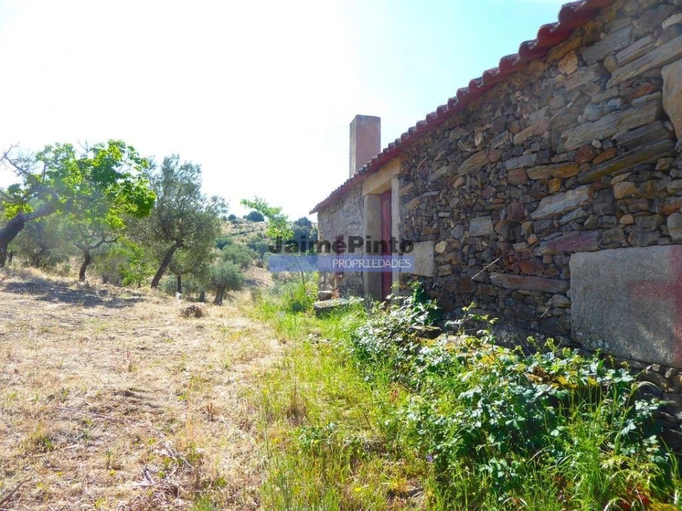 Terreno Misto para Venda em Escalhão Foto 6