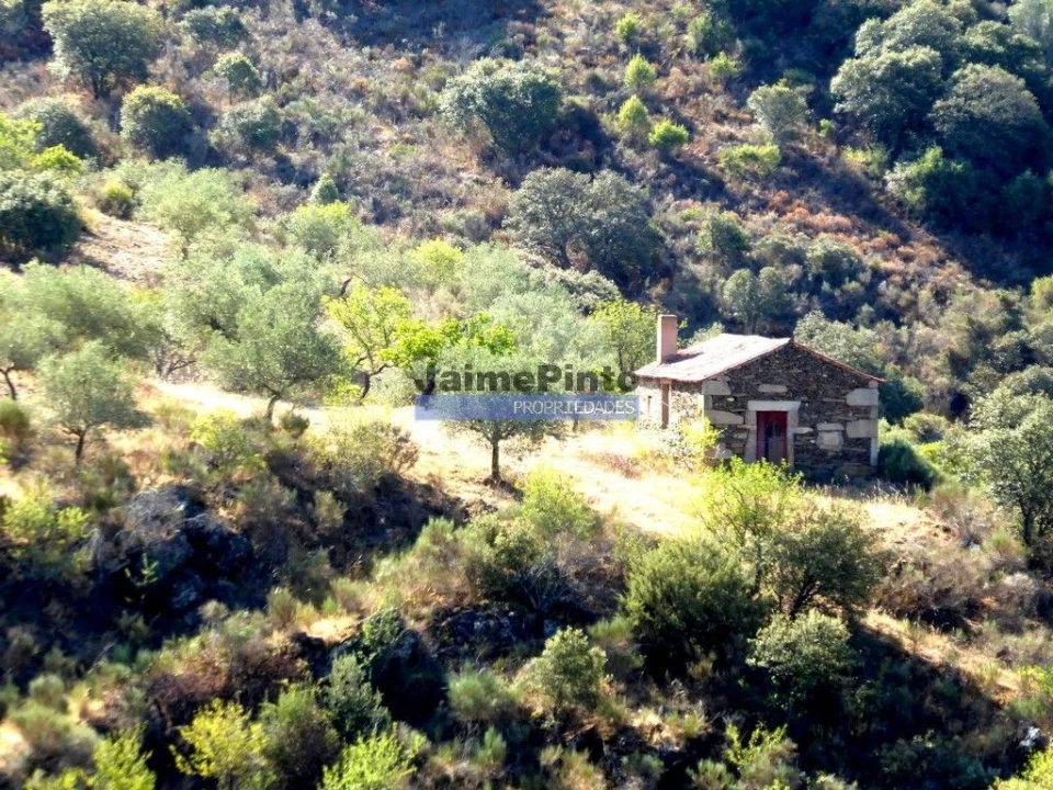 Terreno Misto para Venda em Escalhão Foto 7