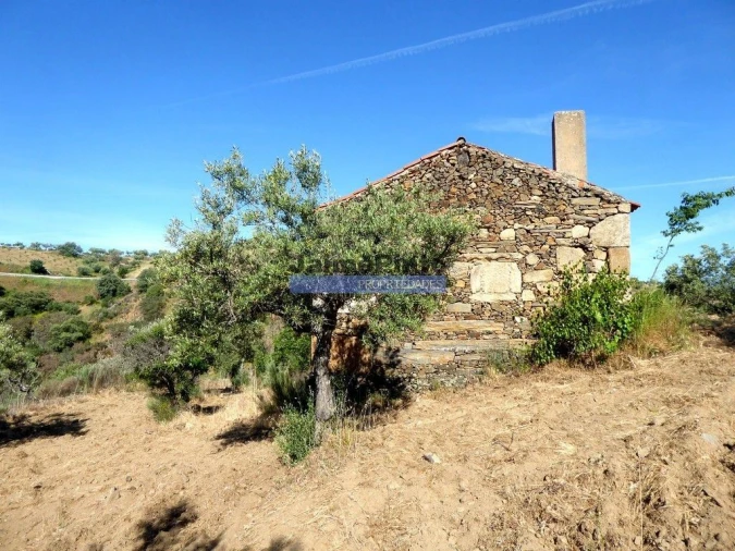 Terreno Misto para Venda em Escalhão Foto 2