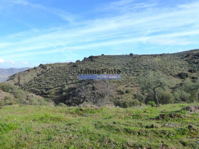 Terreno Misto para Venda em Escalhão Foto 4