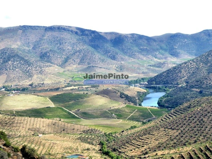 Terreno Misto para Venda em Escalhão Foto 8