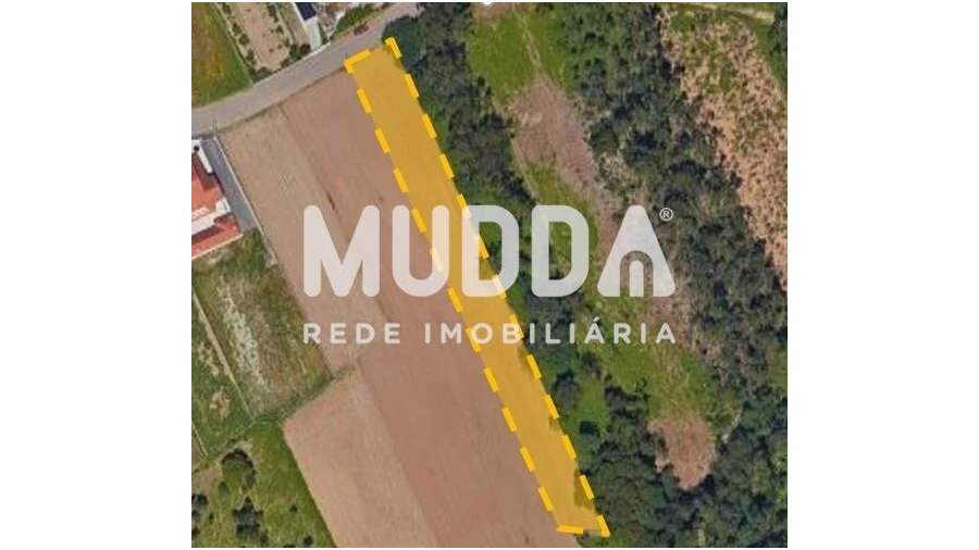 Terreno para Venda em Ovar, São João, Arada e São Vicente de Pereira Jusã Foto 2