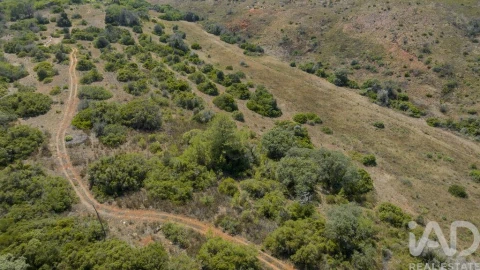 Terreno para Venda em Mexilhoeira Grande