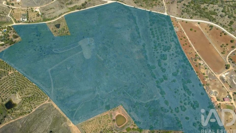 Terreno para Venda em Mexilhoeira Grande