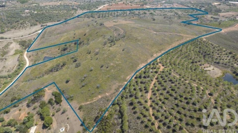 Terreno para Venda em Mexilhoeira Grande