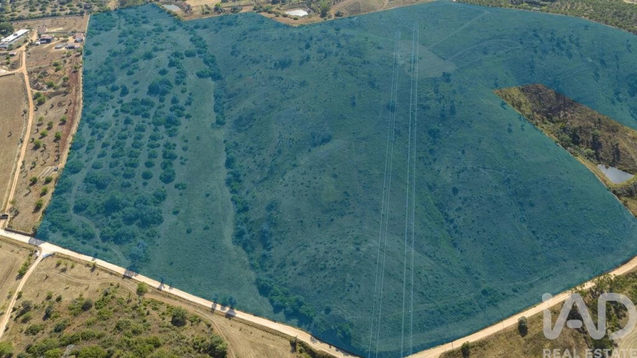 Terreno para Venda em Mexilhoeira Grande Foto 21