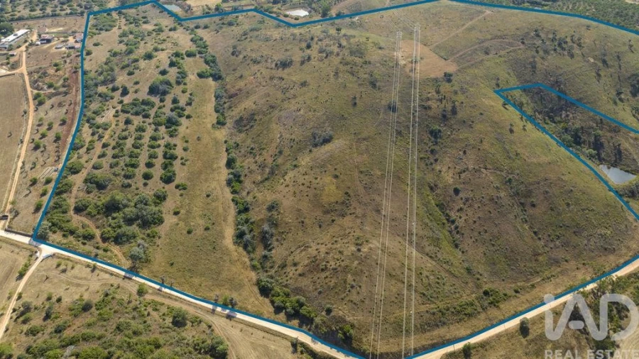Terreno para Venda em Mexilhoeira Grande Foto 20