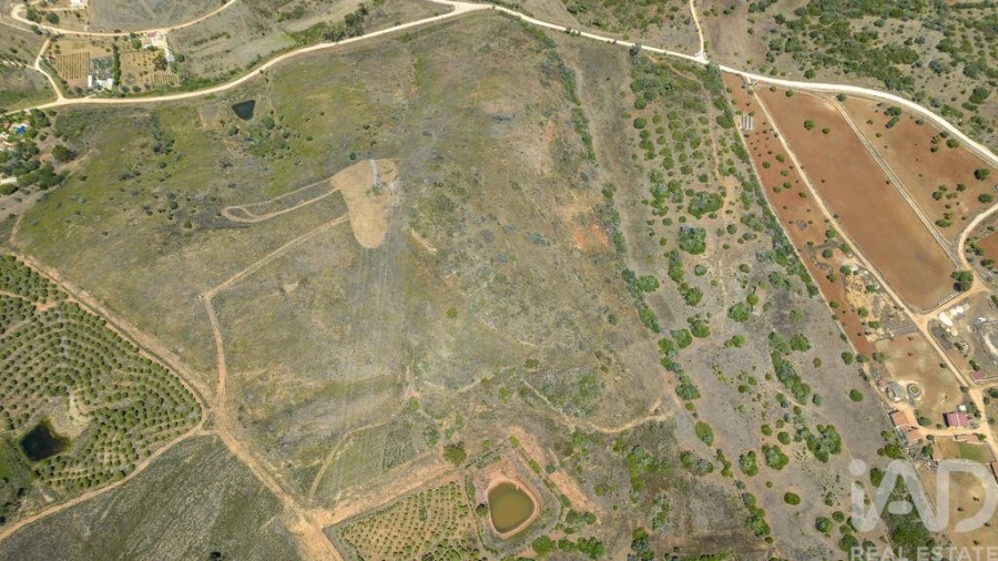Terreno para Venda em Mexilhoeira Grande Foto 14