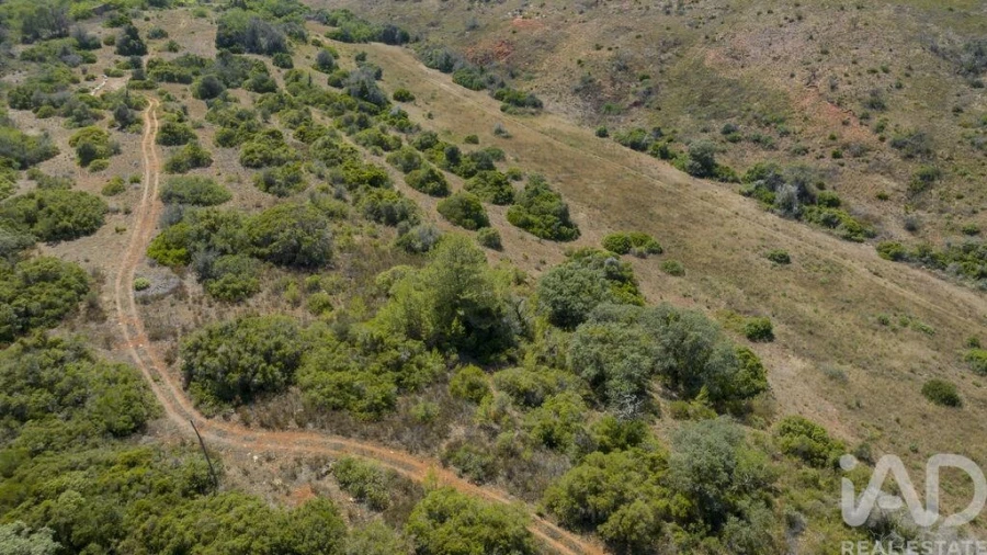 Terreno para Venda em Mexilhoeira Grande Foto 19
