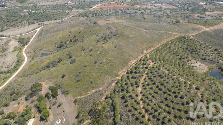 Terreno para Venda em Mexilhoeira Grande Foto 10