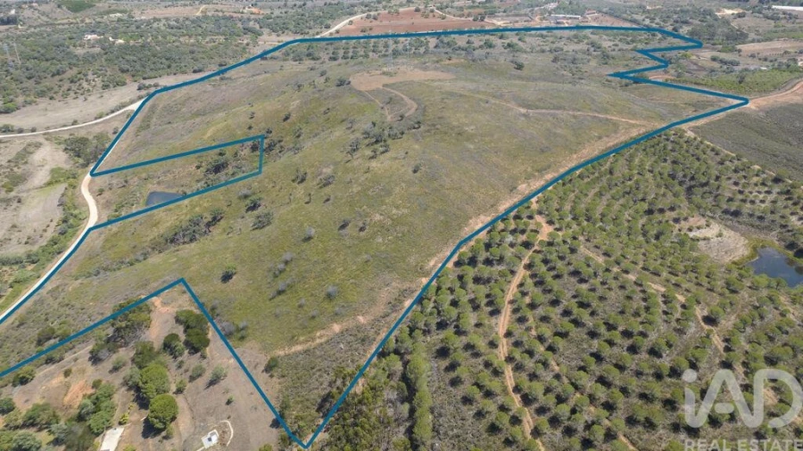 Terreno para Venda em Mexilhoeira Grande Foto 9