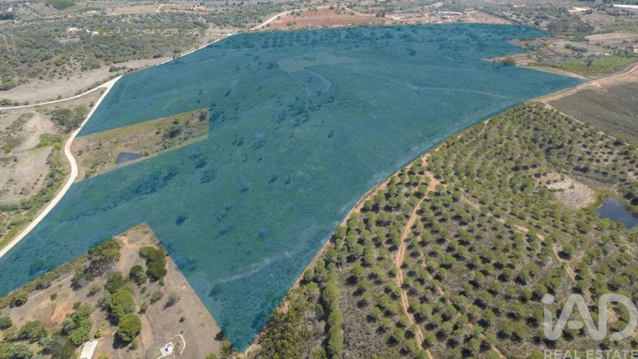 Terreno para Venda em Mexilhoeira Grande Foto 4
