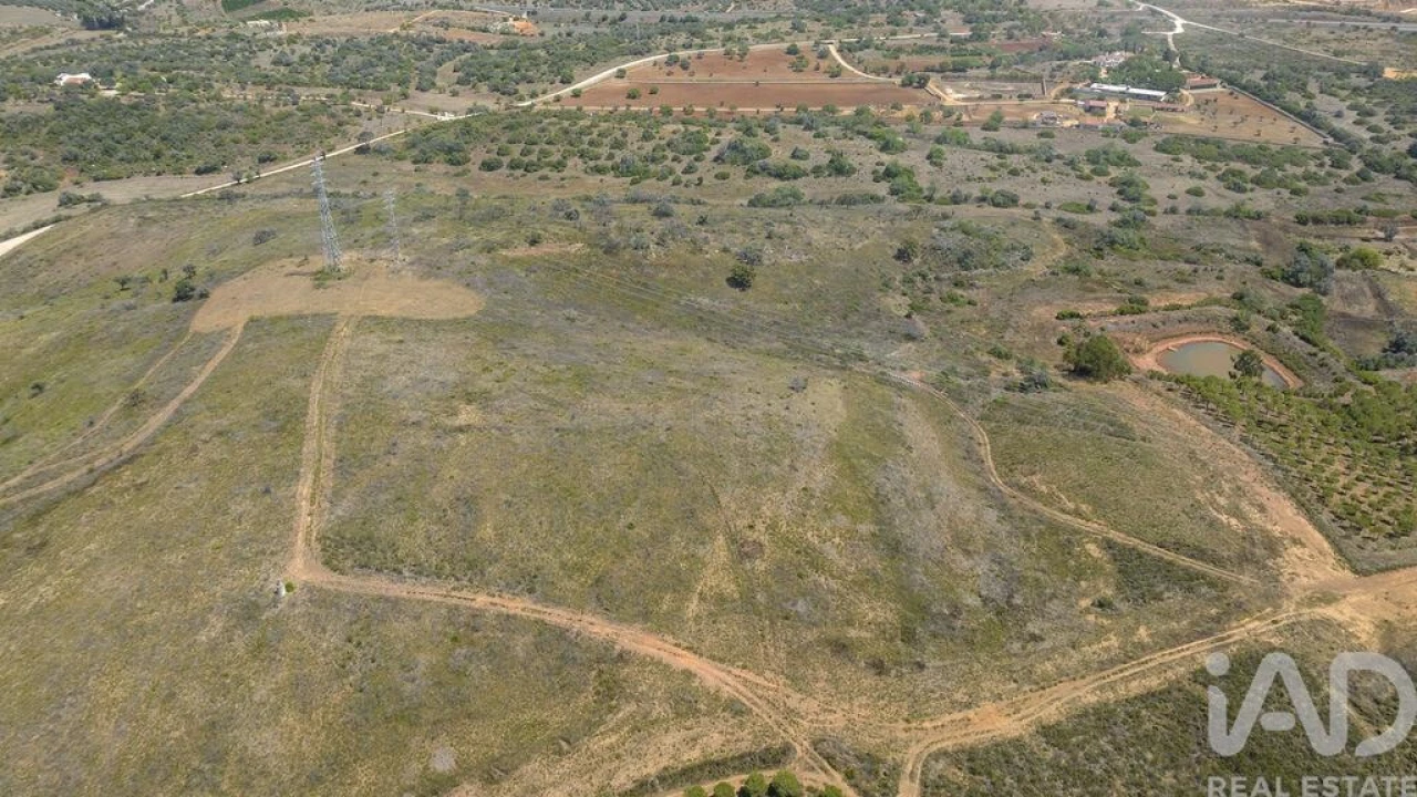 Terreno para Venda em Mexilhoeira Grande Foto 11