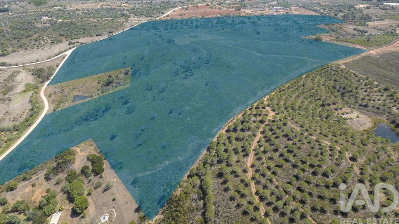 Terreno para Venda em Mexilhoeira Grande Foto 4