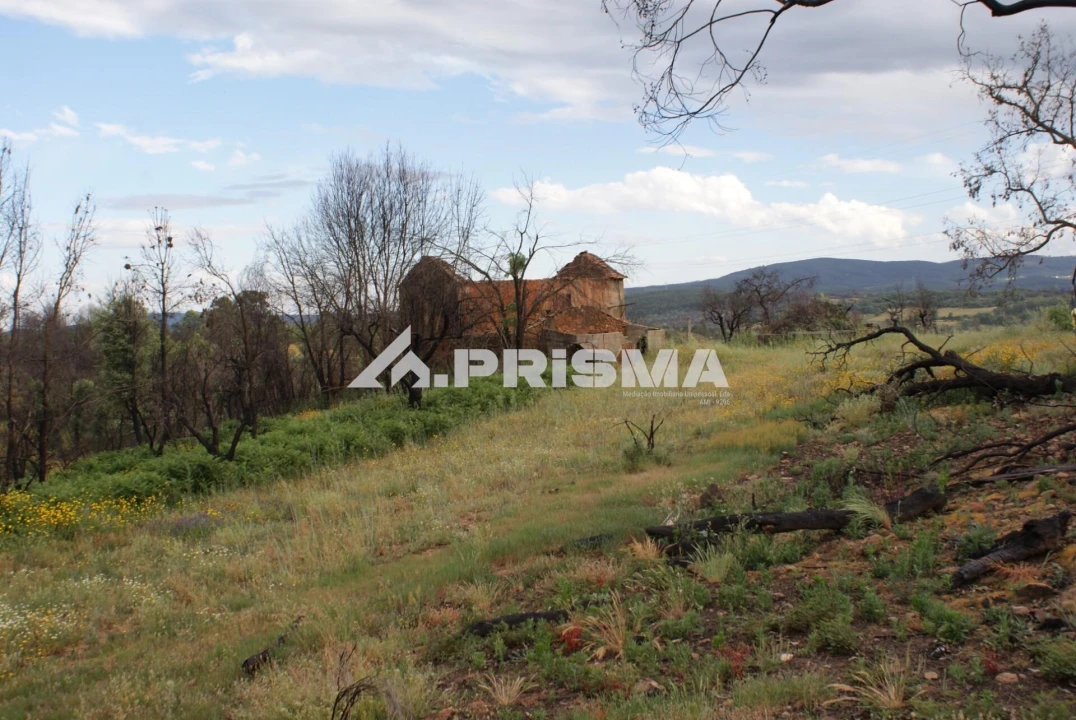 Quinta para Venda em Pero Viseu Foto 14