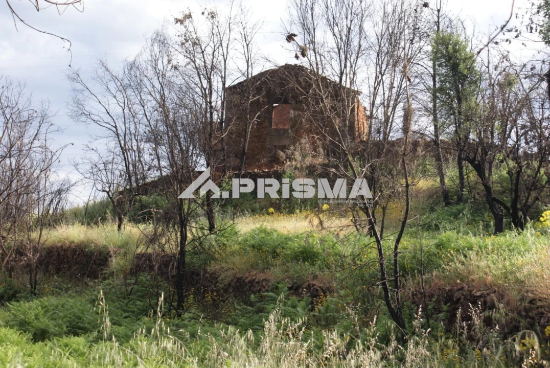 Quinta para Venda em Pero Viseu Foto 13