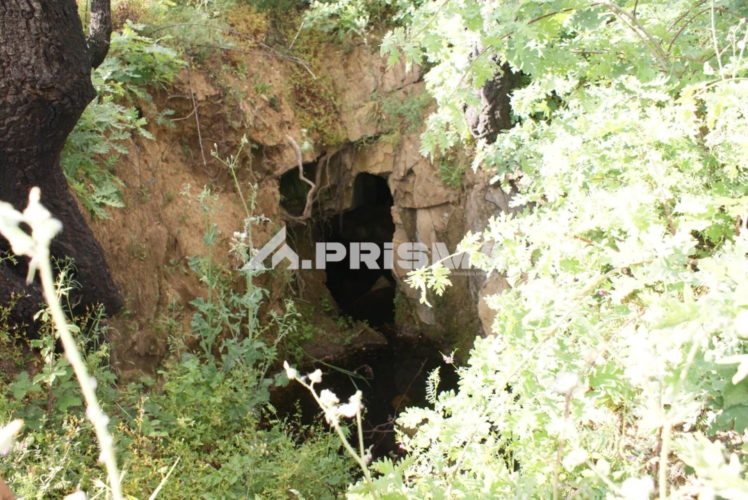 Quinta para Venda em Pero Viseu Foto 16