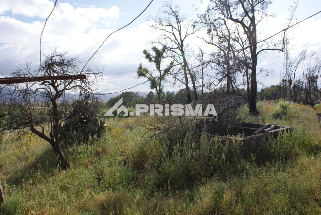 Quinta para Venda em Pero Viseu Foto 5