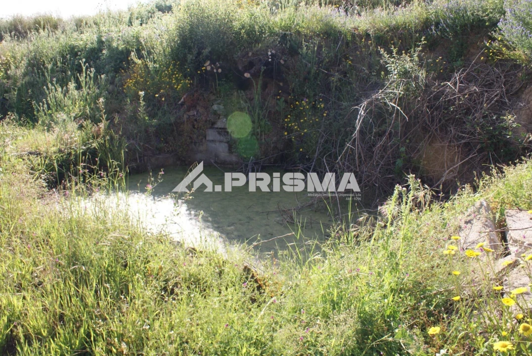 Quinta para Venda em Pero Viseu Foto 9