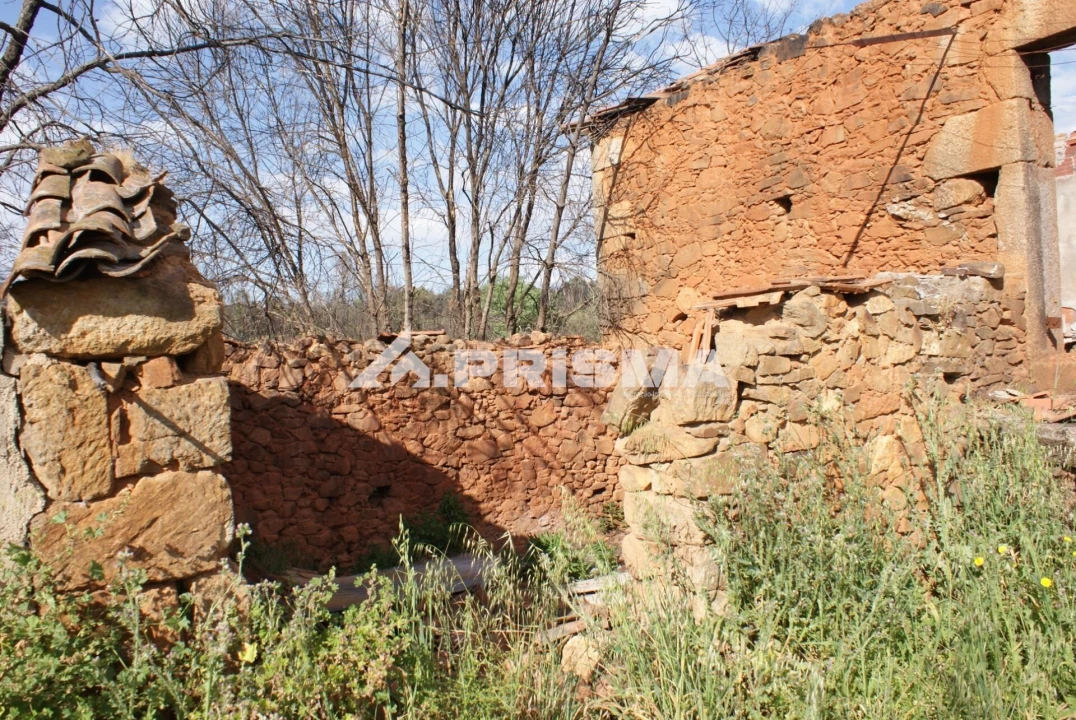 Quinta para Venda em Pero Viseu Foto 2