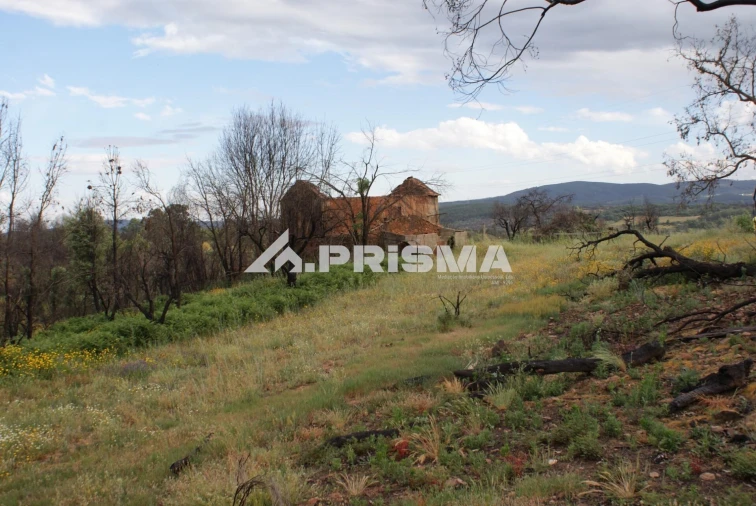 Quinta para Venda em Pero Viseu Foto 14