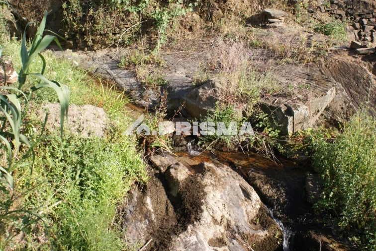 Quinta para Venda em Pero Viseu Foto 10