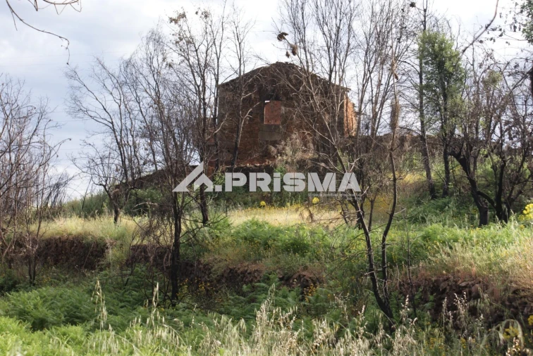 Quinta para Venda em Pero Viseu Foto 13