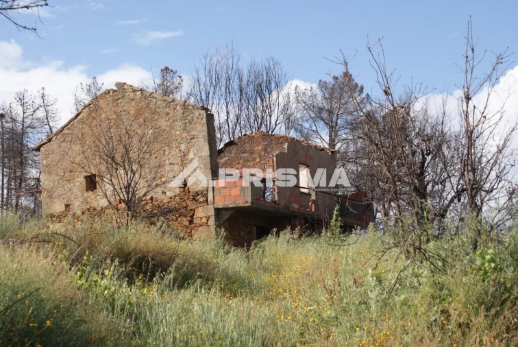 Quinta para Venda em Pero Viseu Foto 8
