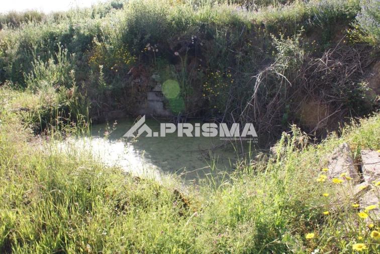 Quinta para Venda em Pero Viseu Foto 9