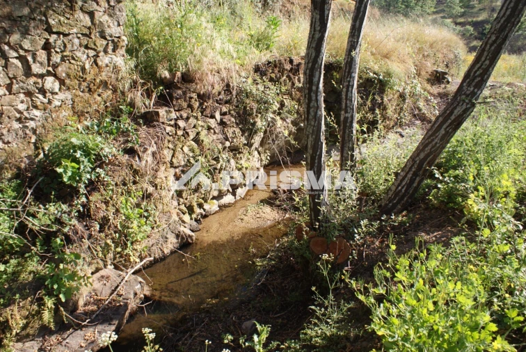 Quinta para Venda em Pero Viseu Foto 11