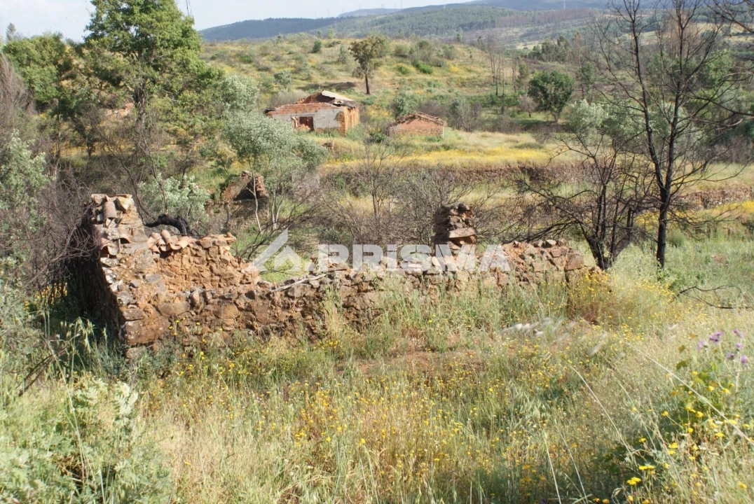 Quinta para Venda em Pero Viseu Foto 6