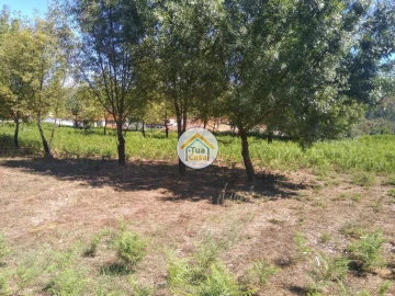 Quinta T5 para Venda em Santos Evos