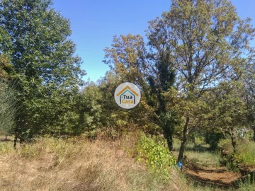 Quinta T5 para Venda em Santos Evos