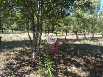 Quinta T5 para Venda em Santos Evos