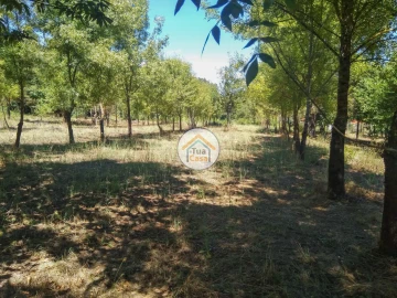 Quinta T5 para Venda em Santos Evos