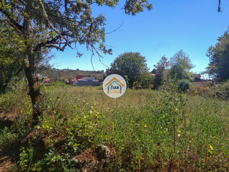 Quinta T5 para Venda em Santos Evos Foto 19