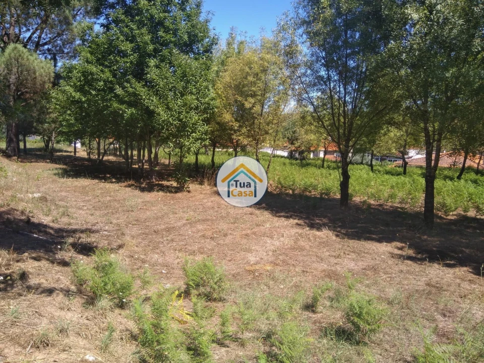 Quinta T5 para Venda em Santos Evos Foto 15