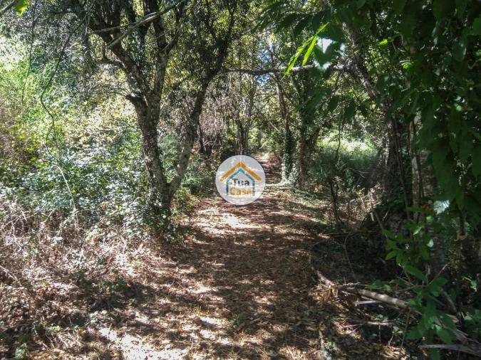 Quinta T5 para Venda em Santos Evos Foto 23